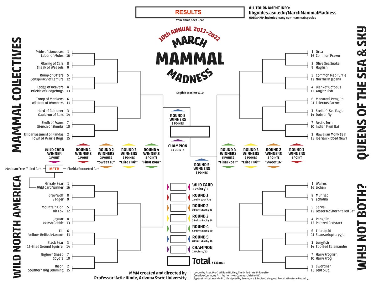 The Mexican Free-Tailed Bat wins the wildcard match of #2022MMM! Join us on Wed. March 16 at 8 PM eastern for the Queens of the Sea and Sky first round battles