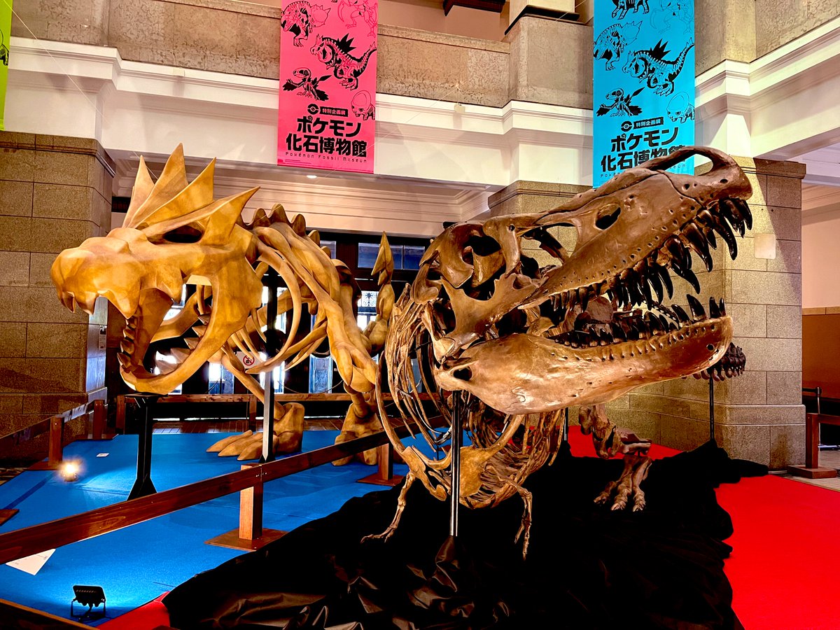 タグ ポケモン化石博物館 の注目ツイート メガとんトラック タグ ポケモン化石博物館 の注目ツイート メガとんトラック