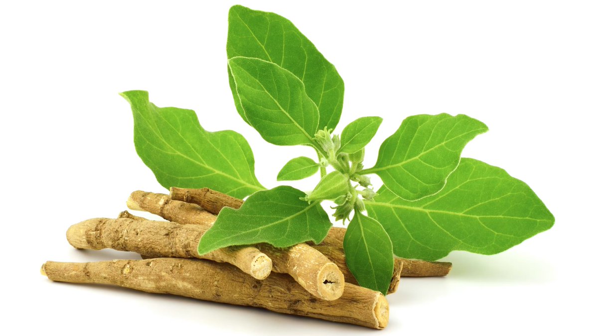 Stress: The silent killer your doctor never talks about

THREAD