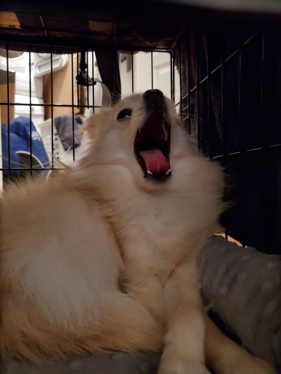 Penny ☁️ tweet media