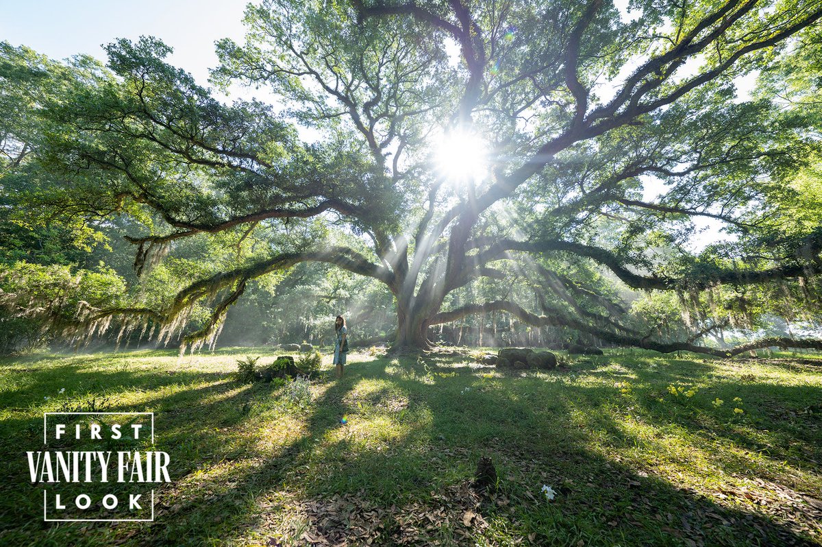 My god, this movie looks gorgeous.

vanityfair.com/hollywood/2022…