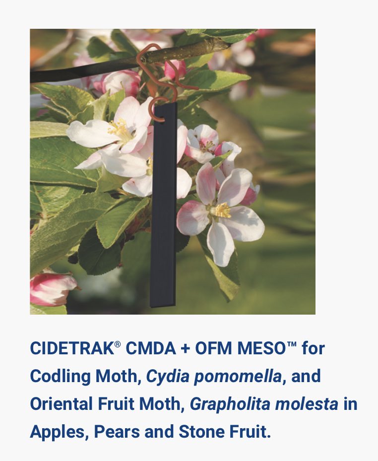 TreceInc's tweet photo. CIDETRAK CMDA + OFM MESO - high performance, dual mating disruption for Codling Moth and Oriental Fruit Moth control in apples, pears and stone fruits.

One single dispenser - “2-for-1” performance targeting two species!

Contact us to learn more or visit https://t.co/MdwEUdJ29X https://t.co/2yajztkm40