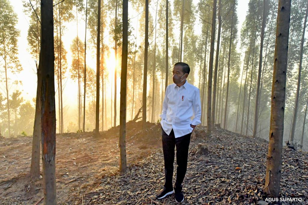 Joko Widodo tweet media