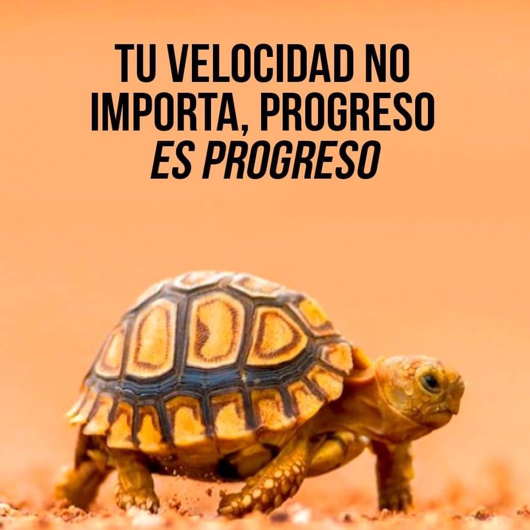 PauloCoelhoDice's tweet photo. https://t.co/qbshqtnHys