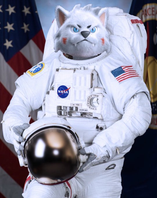 bernie55508's tweet photo. $kiba project will skyrocket to $Billions, Going to the moon!

$kiba #kiba #kibainu #kibarmy #kibakrew @KibaInuWorld https://t.co/46c2HXNuoE