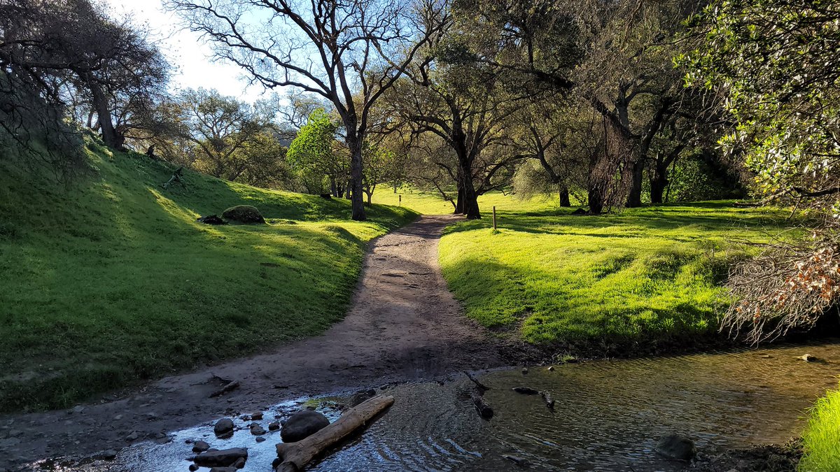 FlowervineMom's tweet photo. It's supposed to rain tomorrow, sounds like a good time to plan a trail run. It's a great time to be alone on the trails. #running #mountainrunner #rainrunner https://t.co/6tqObiEH6Y