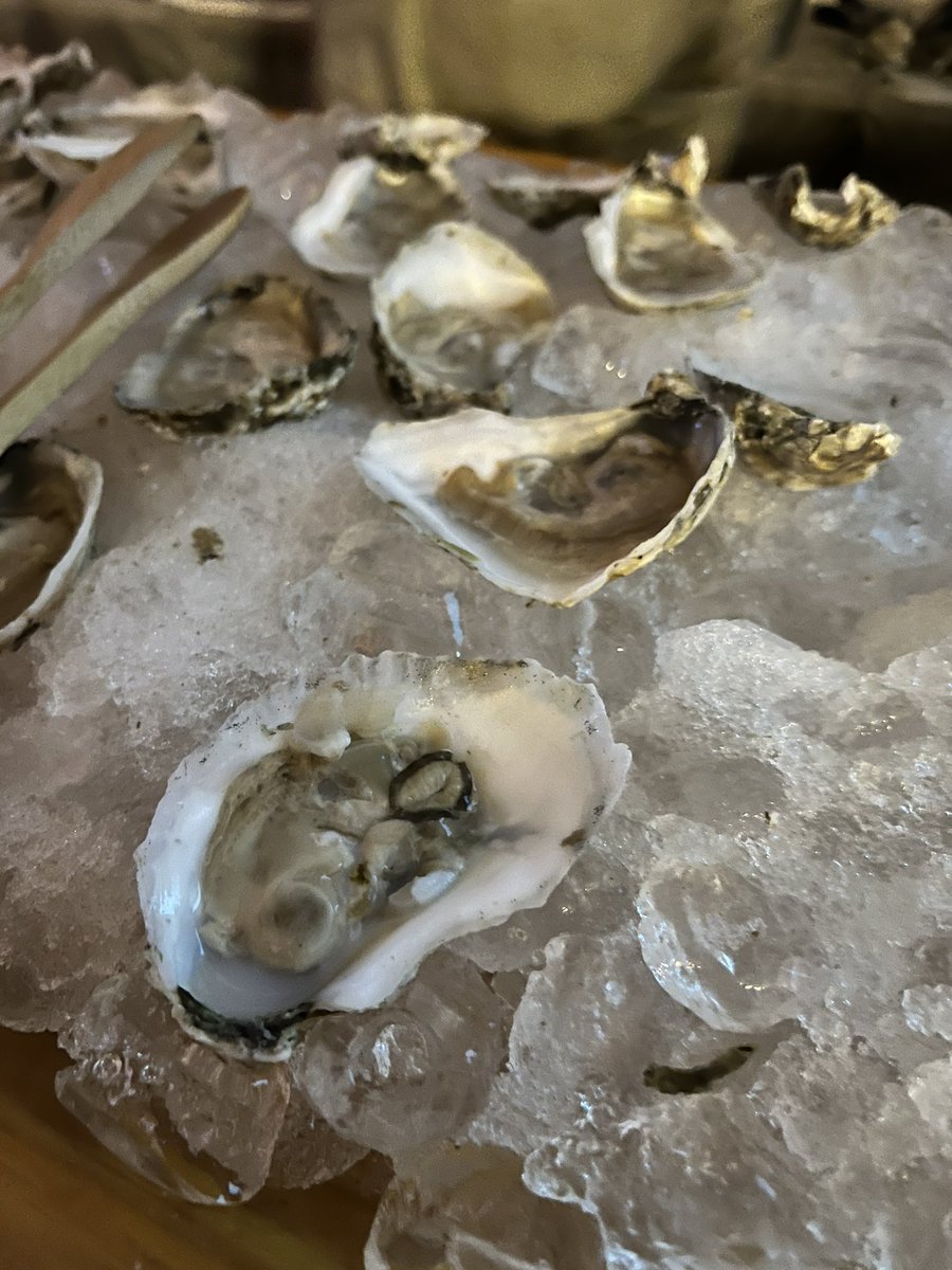 chesapeakebay's tweet photo. THANK YOU to @HopkinsMedicine, @LockheedMartin, @nature_org, @ProFlexTPA, Metcor/LSI, Bob Cullen and Ann Pelham, Harry and Dee Lester, Alison and Arnie Richman, Kitty and Tom Stoner, and Bruce and Alice Whelihan for making #DCHalfShell so special! https://t.co/zNkHm7PAv8