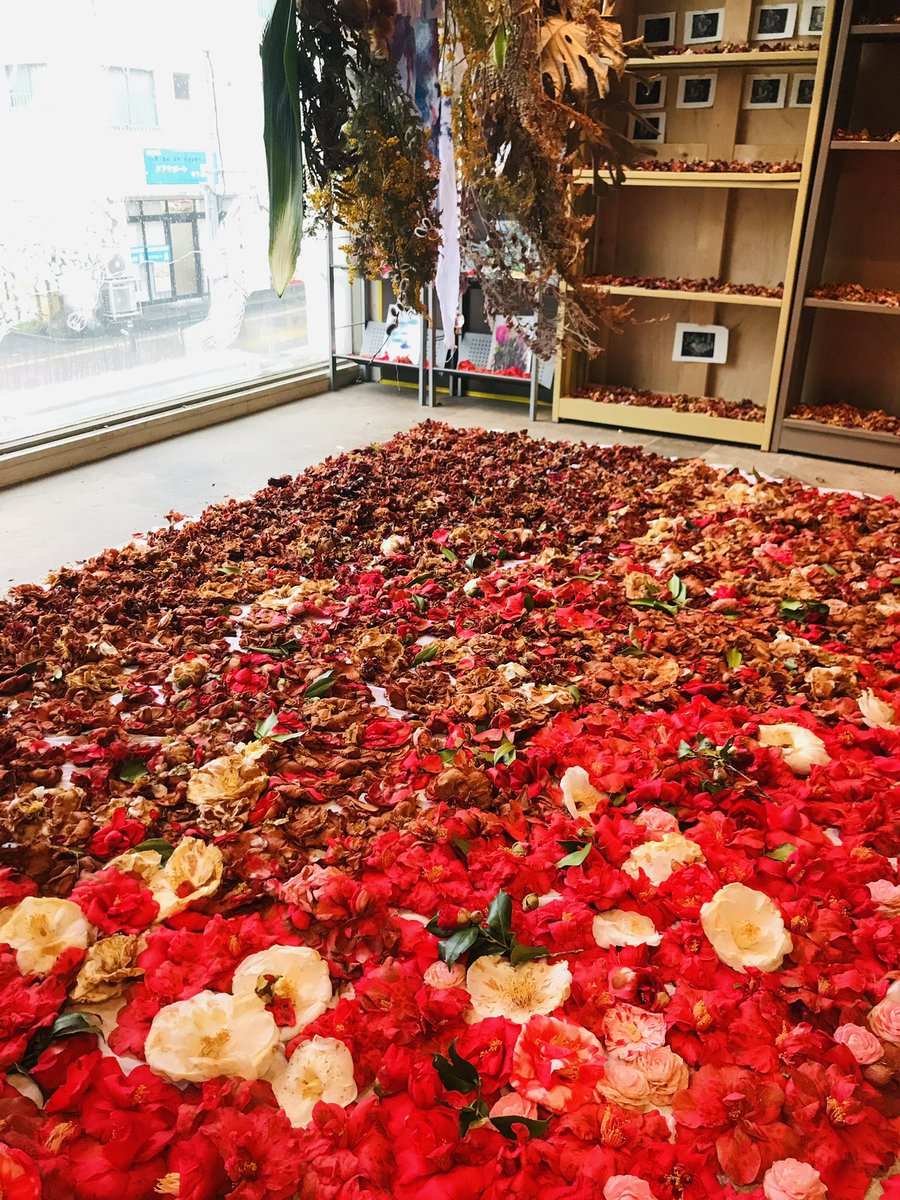 yoshie_fukaura's tweet photo. 2年前の今日は、アトリエに椿を展示していた。コロナ自粛が始まったばかりの頃。この時から窓絵が始まった。パラレルリープの歌が沁みる。　#parallelleap 

https://t.co/BrHerZEwxF https://t.co/sLHsVbTlQk