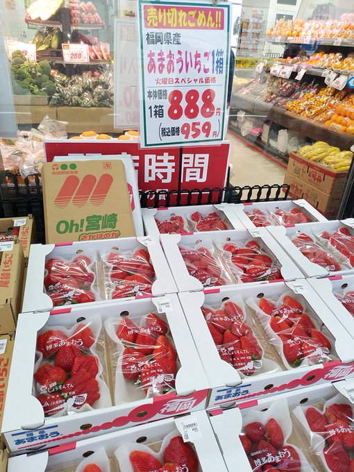 多慶屋 たけや 初サブスクサービス始まるよー S Recent Tweets 3 Whotwi Graphical Twitter Analysis