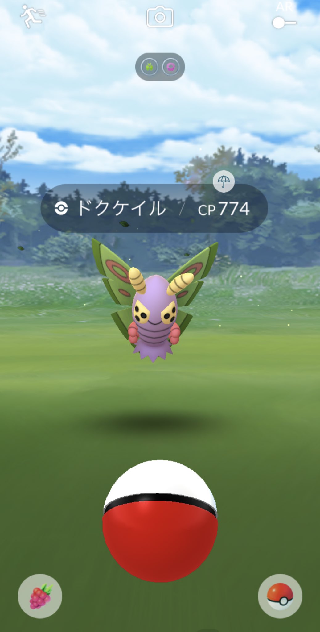 ドクケイル Twitter検索 Twitter