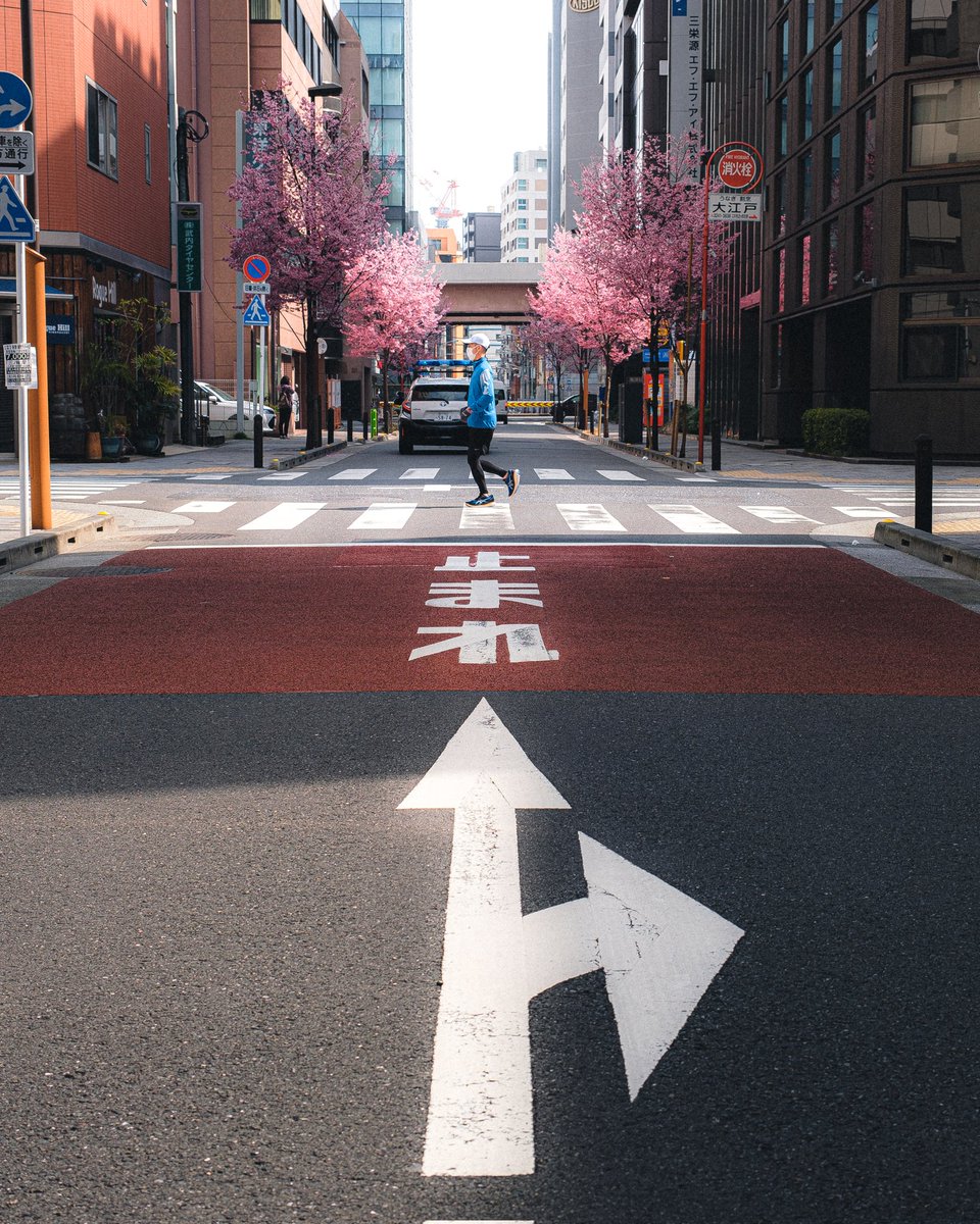 kouk_i0000's tweet photo. 河津桜
また来年。 https://t.co/TsgCiZgtlO