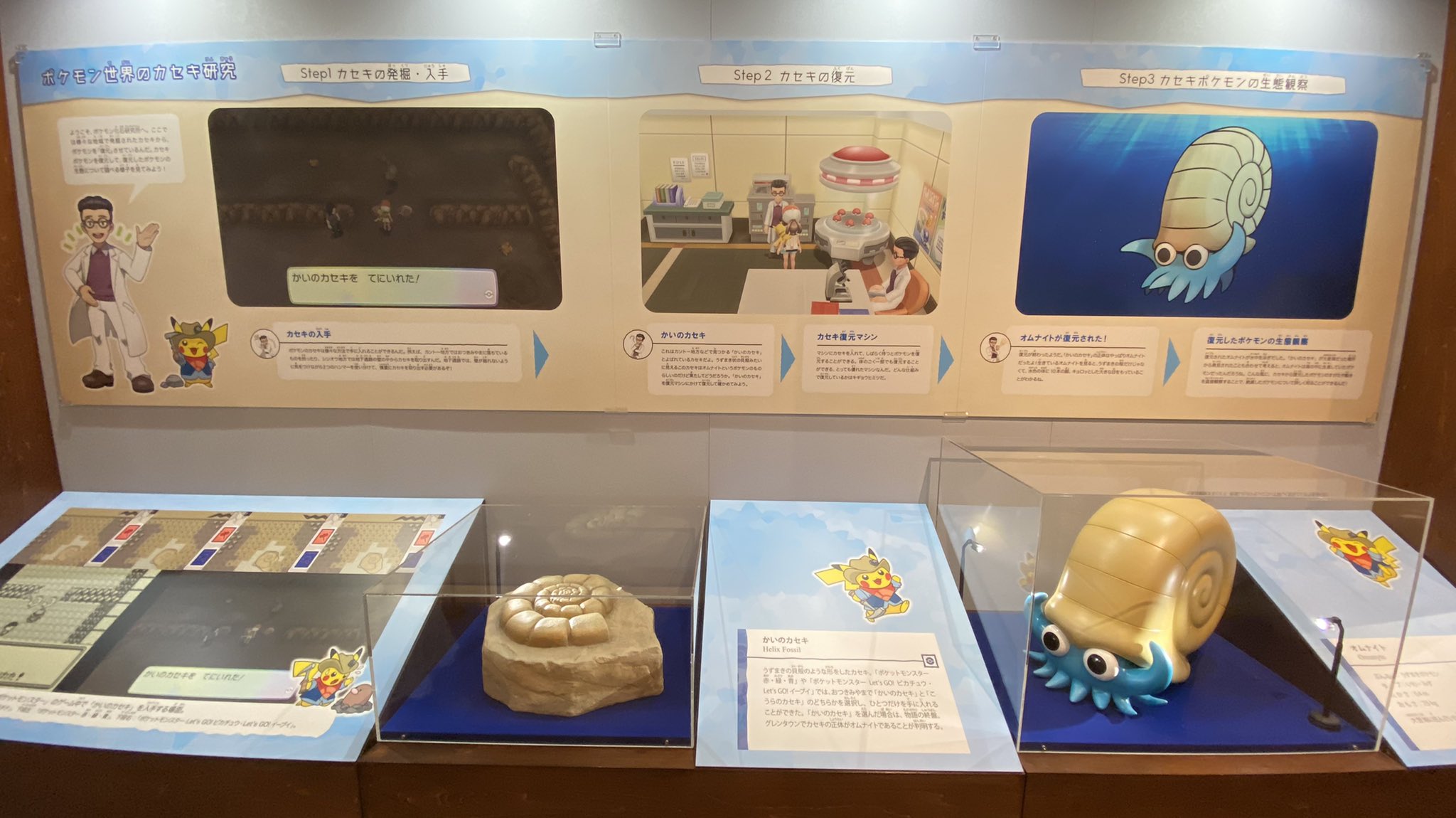ヒノッチ ポケモン化石博物館めっちゃ楽しい 骨格模型から復元元となる化石状態のポケモンまで拝めてもうポケットモンスターファンとしてたまらない空間 我々の世界の古生物達との比較研究も惹き込まれる 相場博士ありがとう ポケモン化石