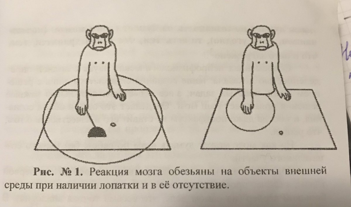 METASATAN888's tweet photo. Этот эффект является эволюционным приобретением. https://t.co/dbnh4Ol2Uj