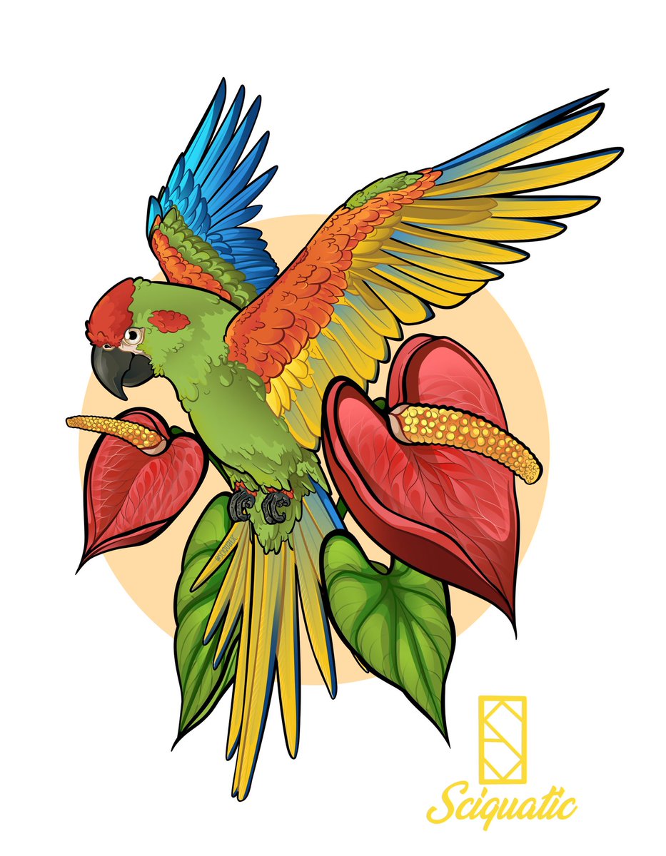 Sciquatic's tweet photo. This Red Fronted Macaw is the latest in my Floral Parrot series, now joining the Citron Cockatoo and Indian Ringnecks. Prints will be available when the series is complete.

Retweets appreciated but please DO NOT REPOST/ NO QRT

#aviculture #redfrontedmacaw #macaw #minimacaw #art https://t.co/W1jD4jp5eF