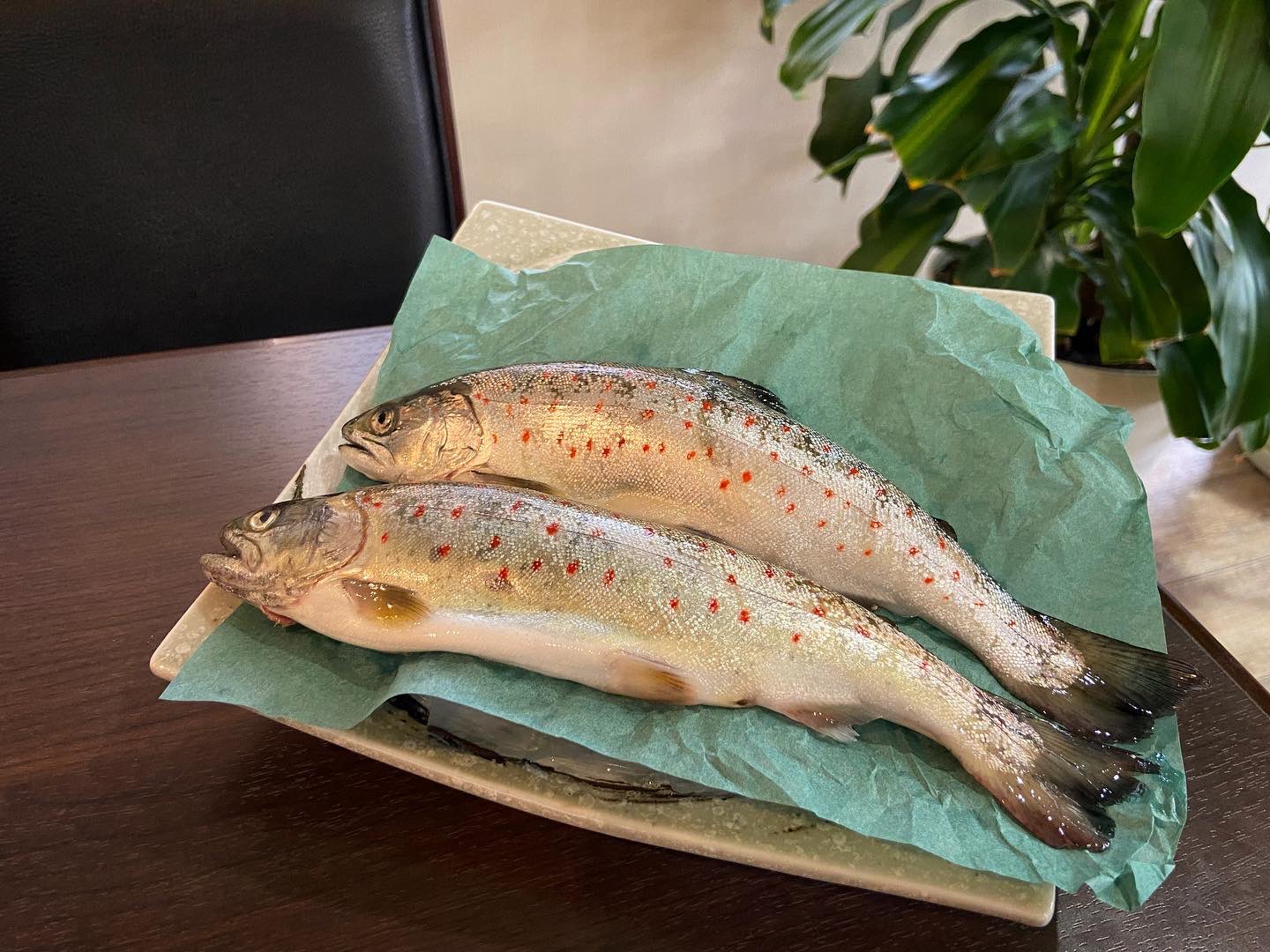 あまごの塩焼き Twitter Search Twitter