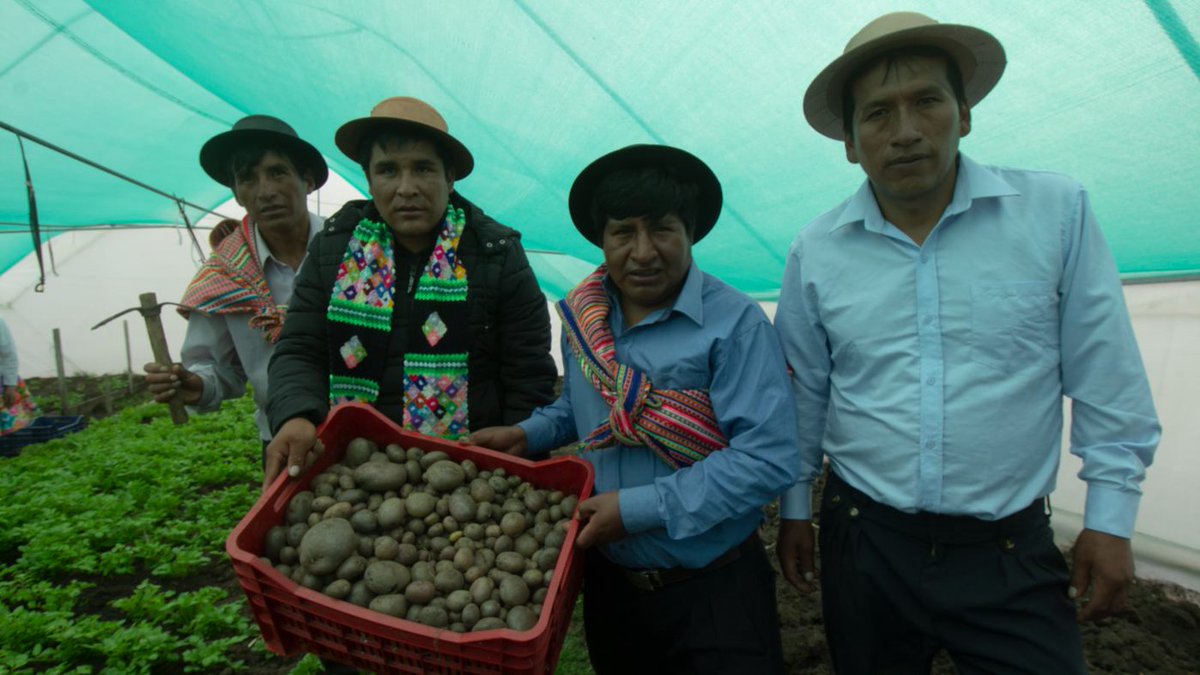 IFADespanol's tweet photo. Todos deberíamos estar agradecidos 🦸♀️ 

Los agricultores rurales producen entre el 30 y el 40 % del suministro mundial de alimentos. https://t.co/CEu6wzmTXm
