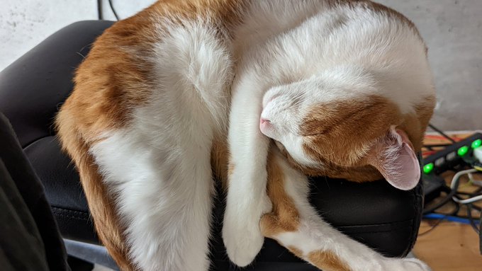 幸せにしてやらねば 