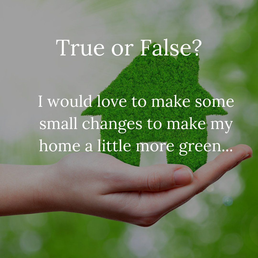 RegenNationCR's tweet photo. Good! Because, there are TONS of small ways you can make a big difference in your household footprint. Let's talk composting, recycling, shopping local, shortening showers, switching up those light bulbs and MORE, here at Sharing Insights Podcast!🌿Link: https://t.co/QPPxN6TBmz https://t.co/Iu1o981Izr