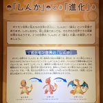 ポケモンの世界での「しんか」とは？我々が思っている「進化」とはまた別の物!
