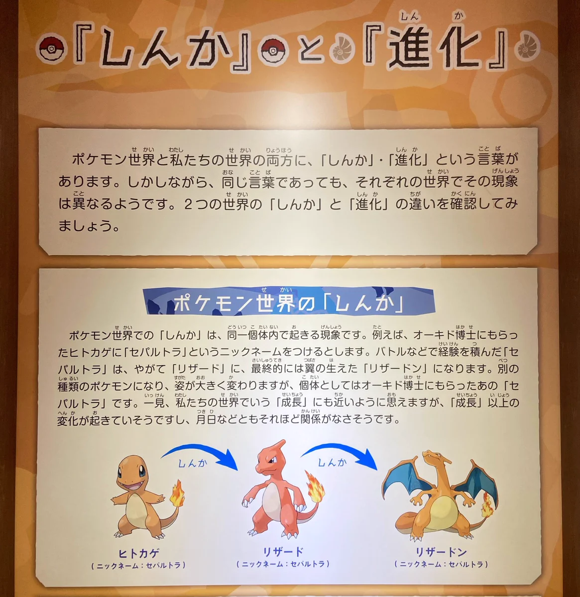 ポケモンの世界での「しんか」とは？我々が思っている「進化」とはまた別の物！！