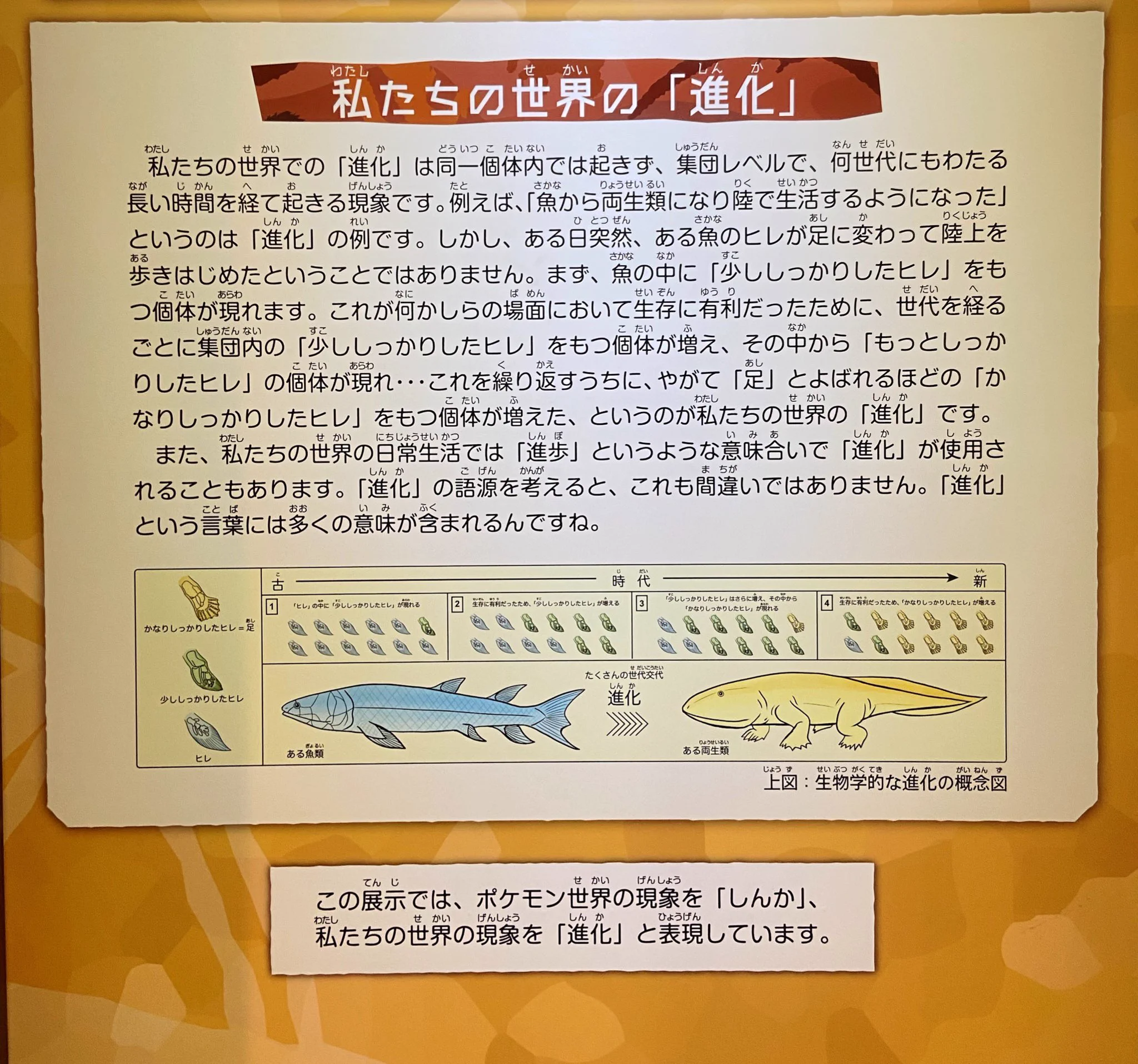 ポケモンの世界での「しんか」とは？我々が思っている「進化」とはまた別の物！！