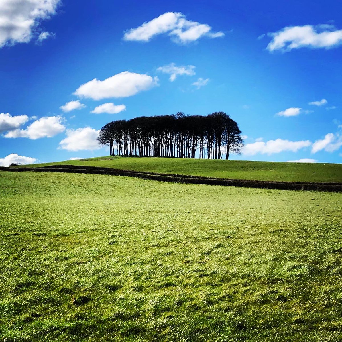 Rather pleased with this shot of the #cominghometrees from the other side! #cornwall #HomeSweetHome