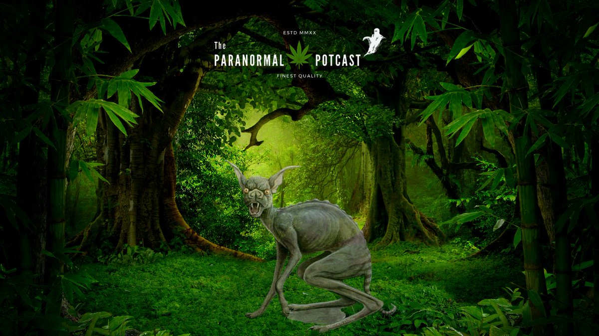 The Paranormal Potcast tweet media