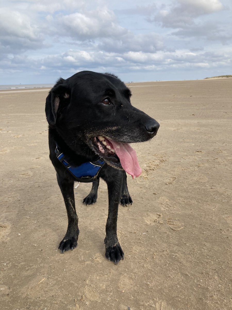 lynnedw2's tweet photo. Love #holkham cheeky night away! https://t.co/5EGEtZnWjA