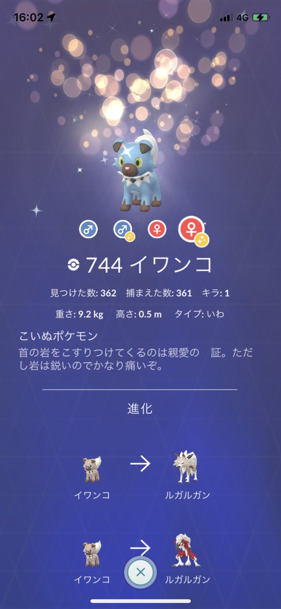 EMPER0R4649's tweet photo. やっとワンコ沼から解放された😭
交換してるからあれだけど多分レイドは300近くはしたかもww

#イワンコ色違い
#沼 https://t.co/tI46UmGQbT