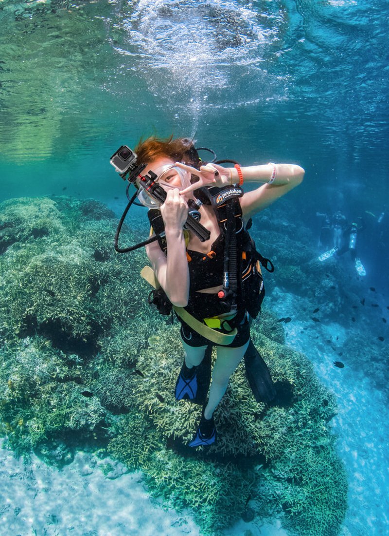 ComanStore's tweet photo. Record your every wonderful moment.

Model Number: MT35
Get more on YouTube: https://t.co/5k0ldzR29X

It's available on #Alibaba and #Amazon 
Please identify the brand #Coman 
#coman
#tripod #diving #Swim #photographer https://t.co/2hTpuCbyMk