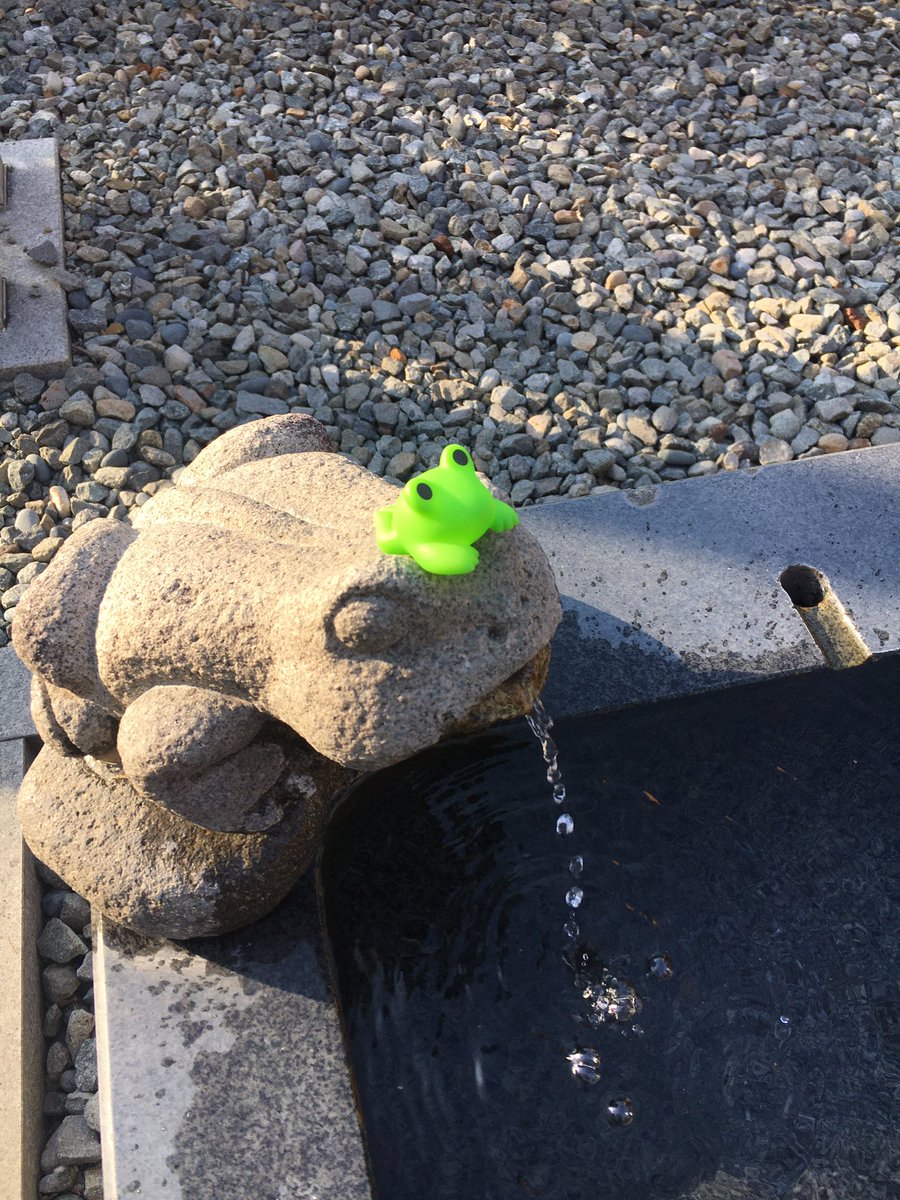 susanderax's tweet photo. スノボ帰ってきて洗車ー
バイクで磐田→下呂温泉往復、車で浜松→鷲ヶ岳往復、、濃すぎる4日間だったにしても、、
あぁーバイク乗っててよかったぁ😁
＃初心者ツーリング
#TW225
#バよ
#ゴープロの動画重たすぎて送れなくてごめん https://t.co/ujytG6RonR