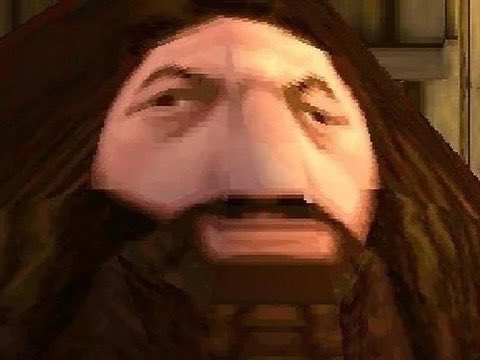 Dr_Danny_B's tweet photo. Excuse me why do I look like Hagrid from the Harry Potter PS1 game https://t.co/QERGMACtGY