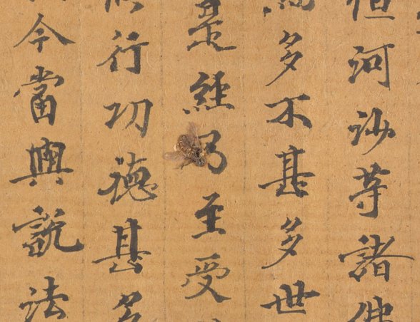 BL_AdiKS's tweet photo. About scroll digitisation as past of the #LotusSutraProject & @idp_uk, and challenges and discoveries along the way https://t.co/I4Ixh76rZS @BL_MadeDigital @BL_DigiSchol https://t.co/sBKtHmNxWQ