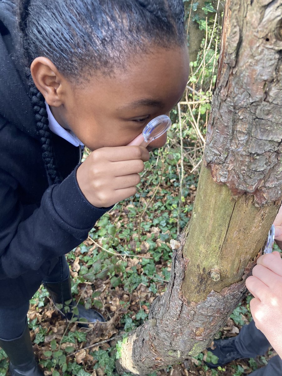 PotterStAcademy's tweet photo. Year Five enjoyed searching for living things as part of our #MarsDay22 https://t.co/hdUqpSkexz
