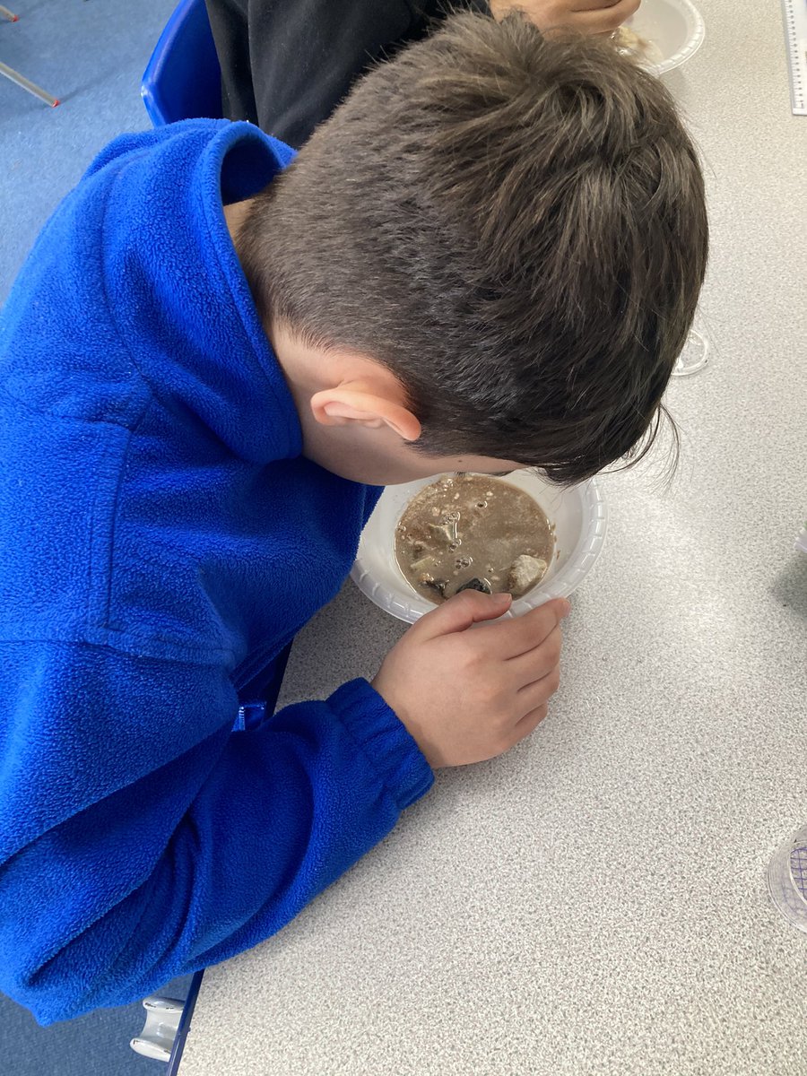 PotterStAcademy's tweet photo. Year Five searching for signs of life in their Mars rock sample #MarsDay22 https://t.co/wsp7gzX68C