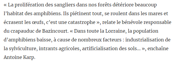 RVHunter57's tweet photo. #Reffroy
#Biodiversité #Herpéthologie #ornitho
#Crapauds
Une saison des amours à haut risque pour les amphibiens
On t'a vu le naturaliste de Meuse Nature avec ton petit bashing
Pourquoi n'évoques-tu pas la prolifération des échassiers (Grallae) ?
Article
https://t.co/atyP5kRZPW https://t.co/zwgIX9NtXx