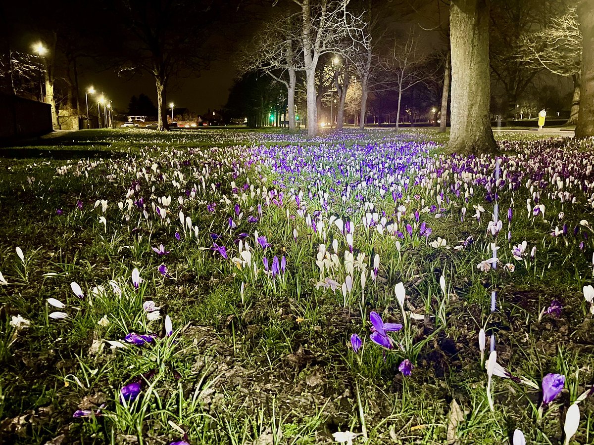 You know my thoughts on war… but it is barbaric to be targeting hospital schools and civilian accommodation. I think the government should house the refugees in the multi million pound confiscated mansions of the Russian elite. Wouldn’t that be ironic? 🙏