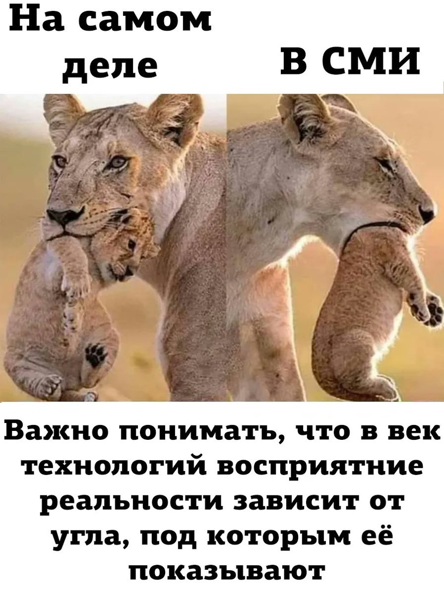 drunktwi's tweet photo. Это важно https://t.co/YSO7W4VJc2