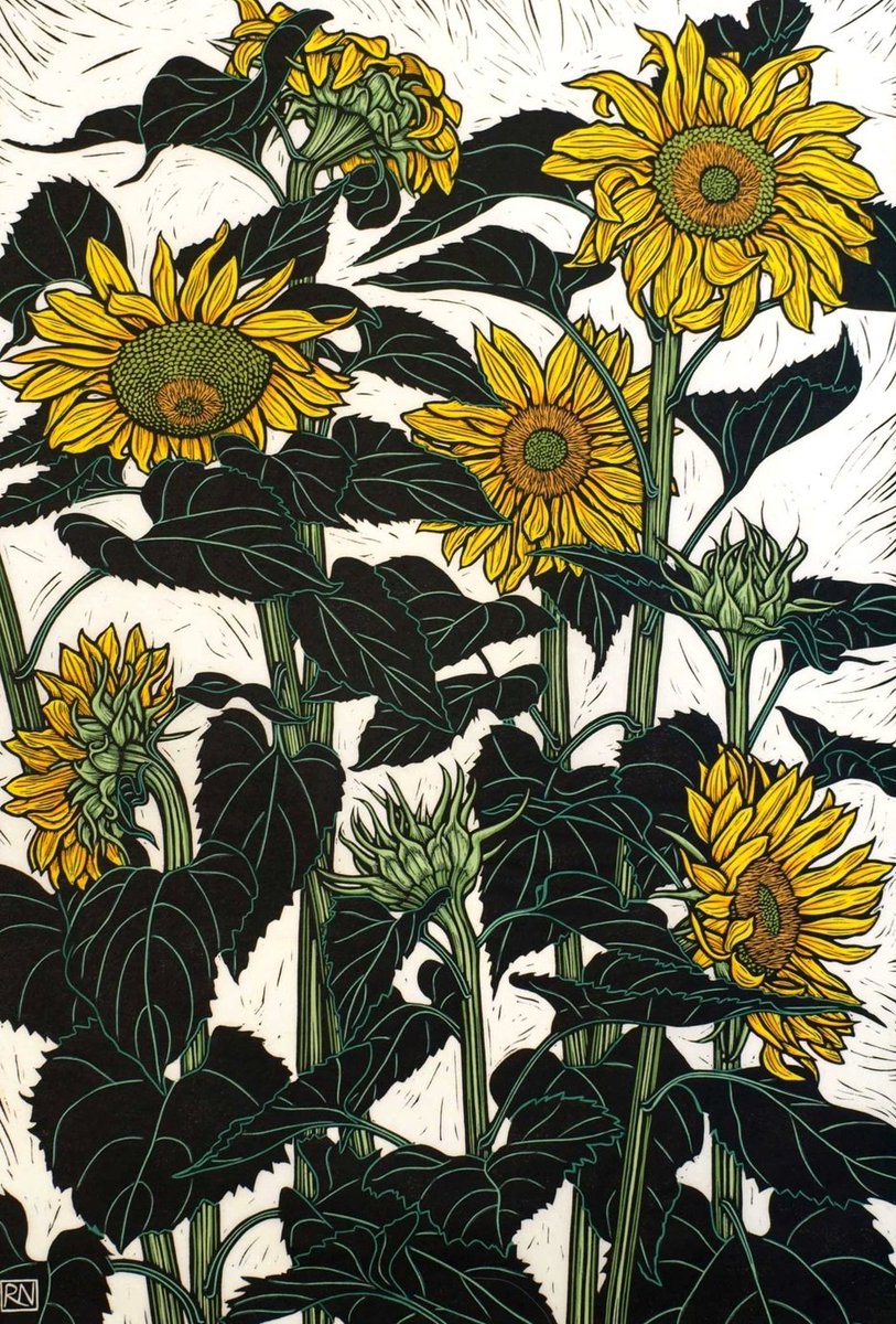 womensart1's tweet photo. 'Sunflowers Newport' by Australian printmaker Rachel Newling #WomensArt https://t.co/oRLEZKYGQ3