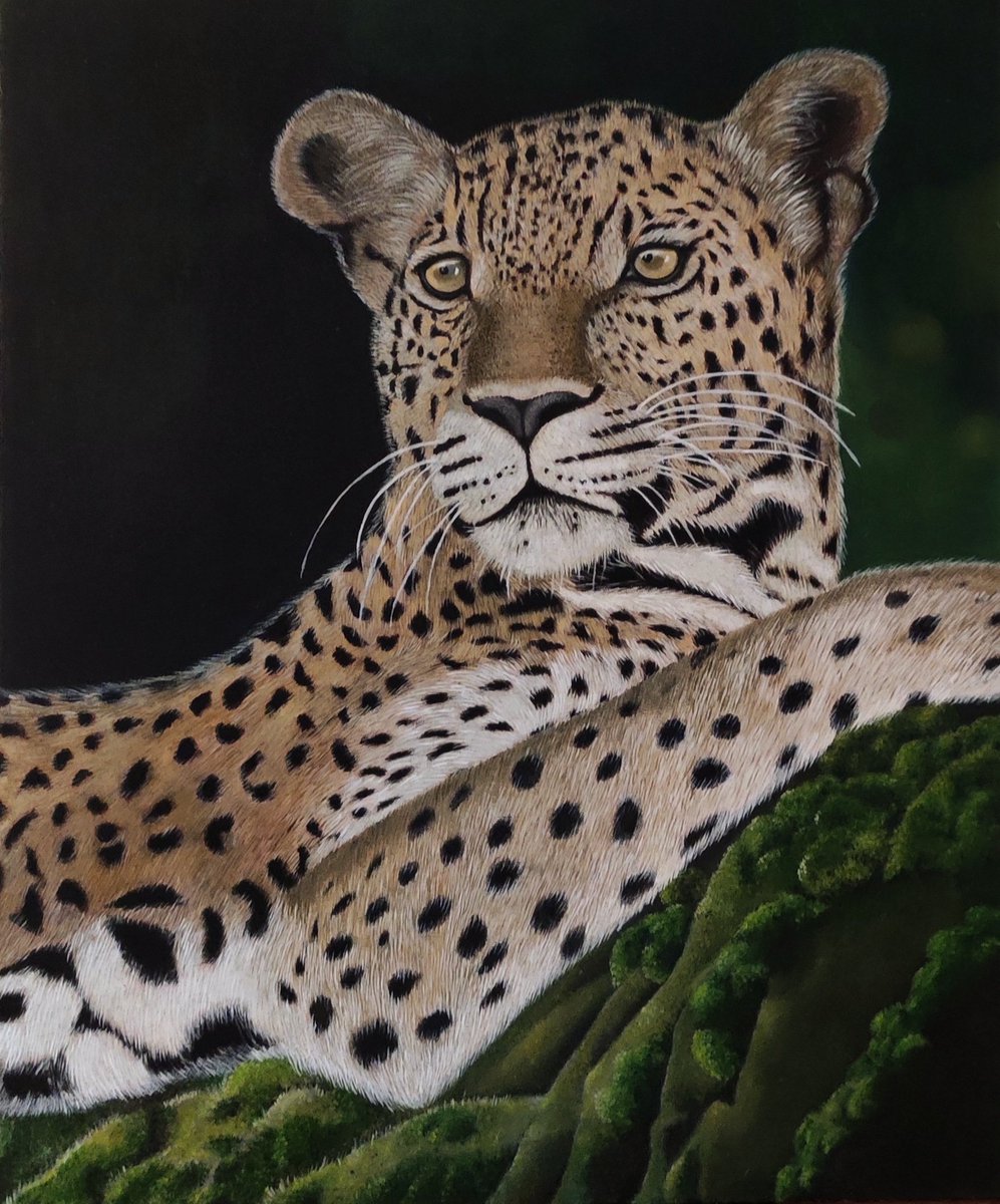 Leopard from the Speechless Kingdom series. Chapter 4. #ArtistOnTwitter #independentartis #NFTartist #nftgallery #oilpainting #NFTMarketplace #nftart #wildlifepaintings