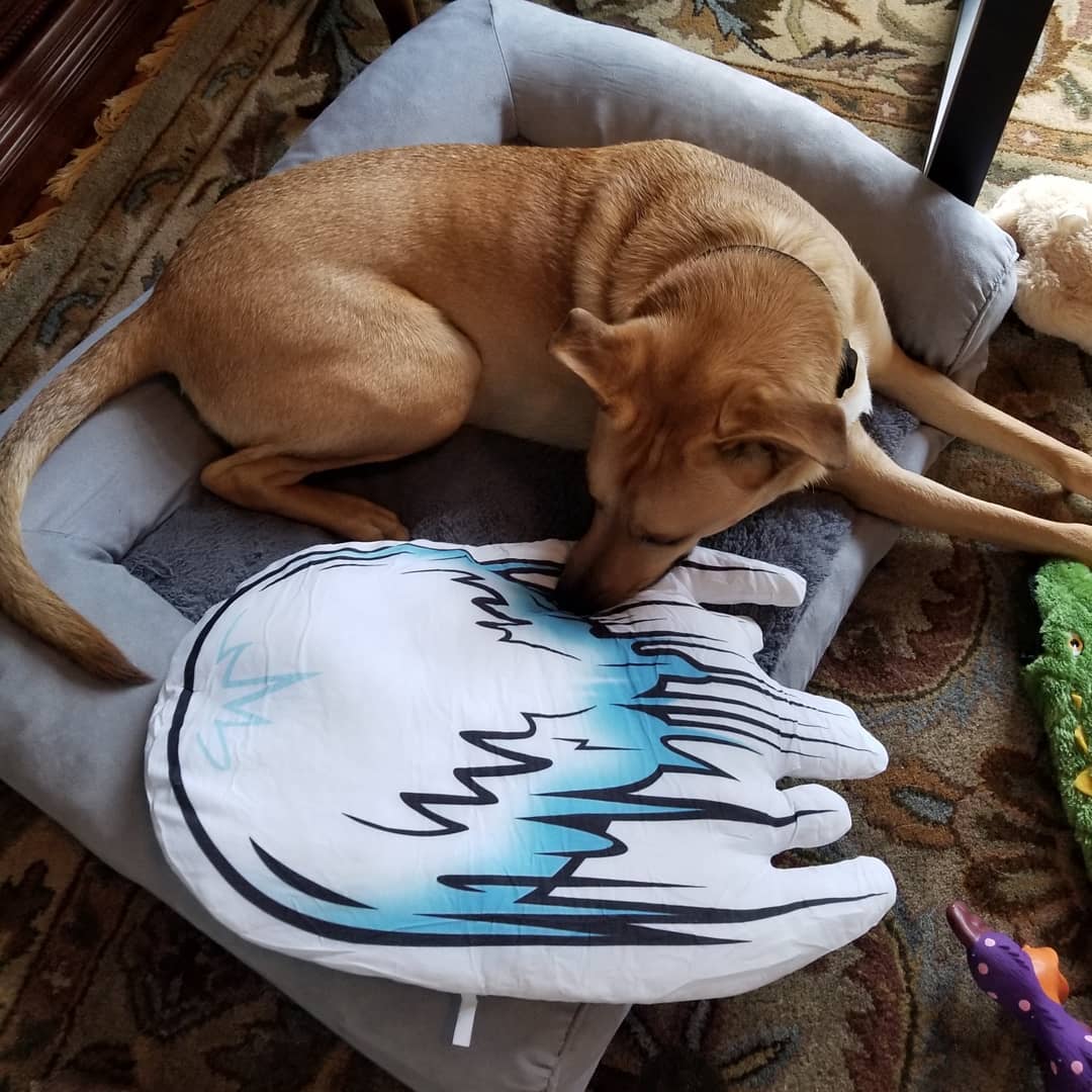 TheGeekFuel's tweet image. Hope everyone made it through the first Monday after #SpringItForward

I took ZERO naps (though I also made hot coffee for the 1st time in a year!)

Anyway, for all your napping needs: our SLEEP FIGHTER Throw Pillow!
geekfuel.com/products/sleep…

#nationalnappingday #hadouken