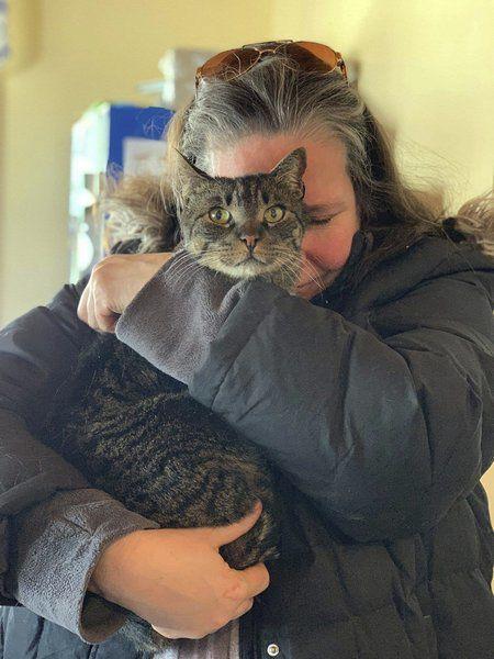 MRFRScats's tweet photo. Microchips make happy reunions possible! MRFRS is grateful to be a @cummingsdotcom grant recipient enabling us to provide free #microchips for #pet owners &amp; free scanners in local communities over the next 4 years 😻 Have a microchip reunion story? Email us @ microchips@mrfrs.org https://t.co/488EvMmshL