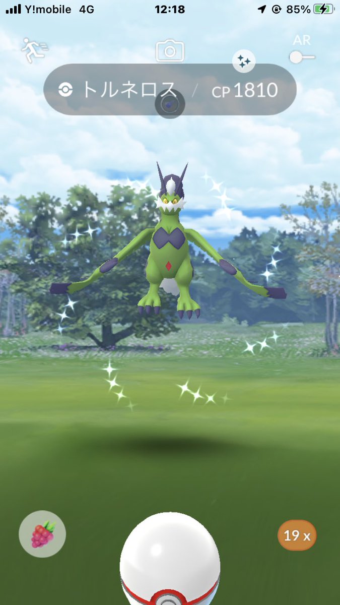 ポケモンgo カプ コケコの色違い 入手方法と実装状況 攻略大百科