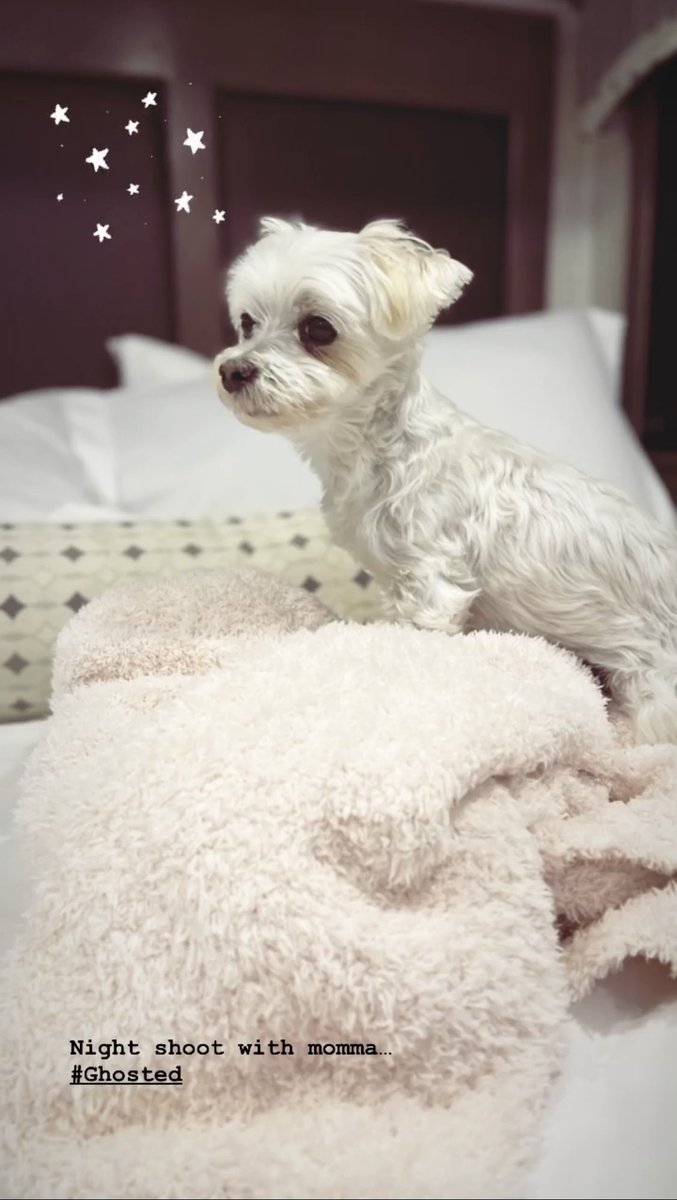 "Rodaje nocturno con mamá #Ghosted" —Ana de Armas vía Instagram stories