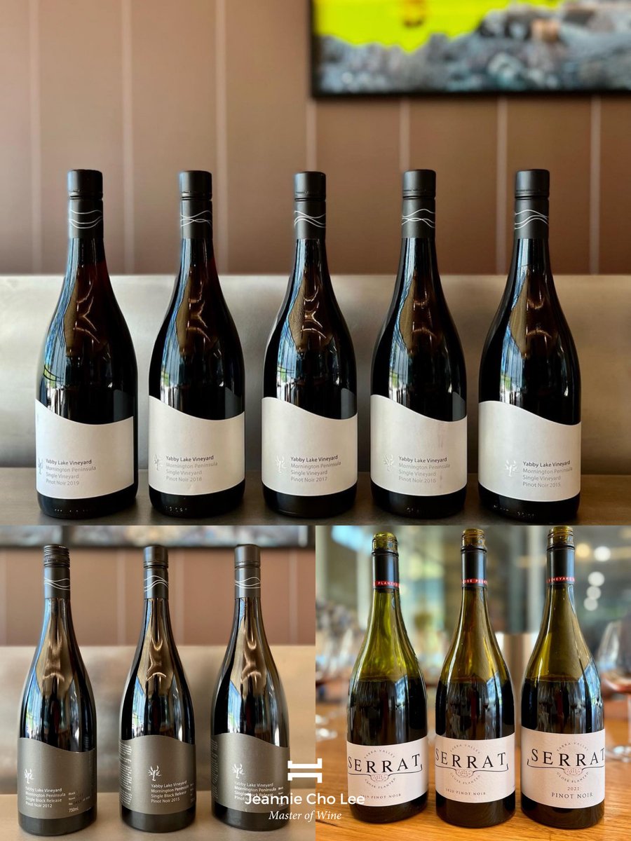 A truly educational tasting with Tom Carson @yabby_lake who shared verticals of their Pinot Noir; single block releases - which are wonderful!

#morningtonpeninsula #australia #pinotnoir #wine #winetime #winetasting #winelover #masterofwine #winelife #wineoclock #wineoftheday