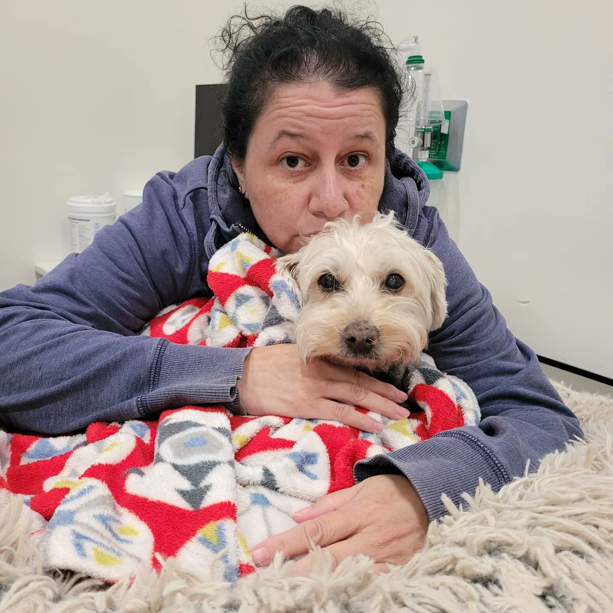 azulmarin's tweet photo. Last night, I made the difficult decision to put Lana to sleep. She did not have a good prognosis. 
I hope I gave her the best life possible and that it was the right time. I am grateful to her for spending 12 years of her life with me.    💔 https://t.co/3l18FMjYhu