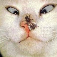 Shmooreport1's tweet photo. #NewProfilePic https://t.co/JVmbVtWIBX