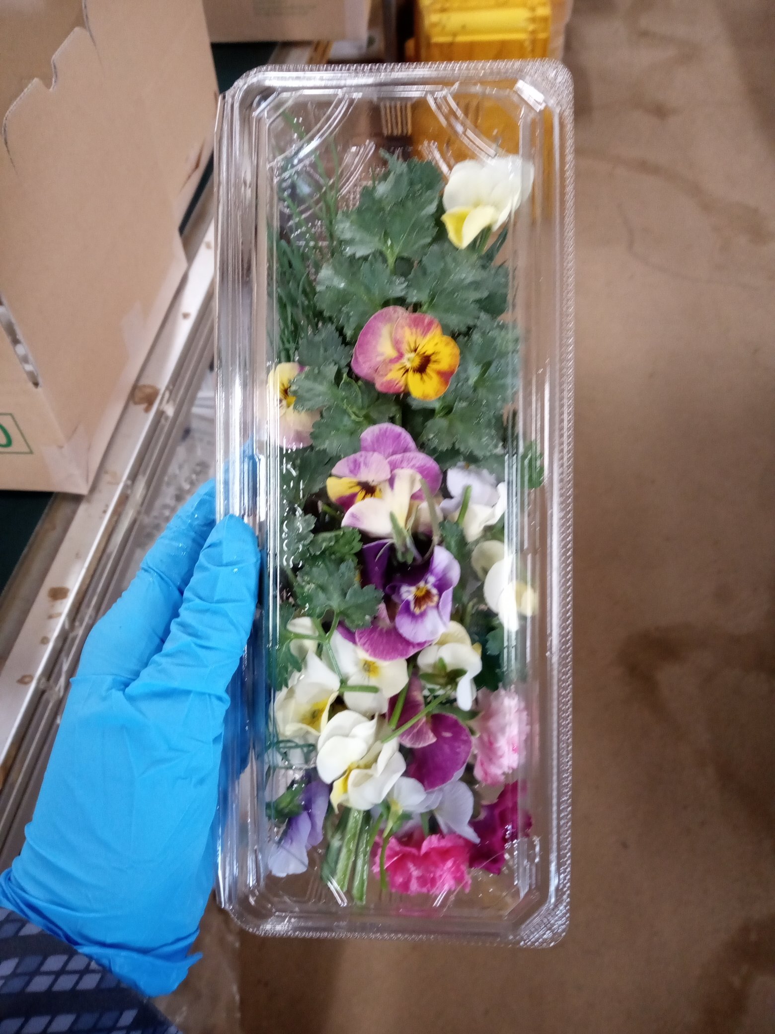 Tweets With Replies By 有機農園モアーク Organicmoarc Twitter