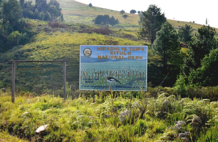 BIASHARACONNEC2's tweet photo. #VisitKitulo
#VisitTanzania https://t.co/ZyJgiUakZS
