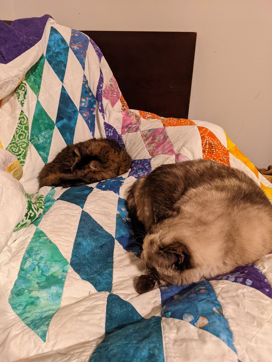 MarshMuhSmarsh's tweet photo. Hanging out with Athena 🥰 https://t.co/VZkX9qgF5k